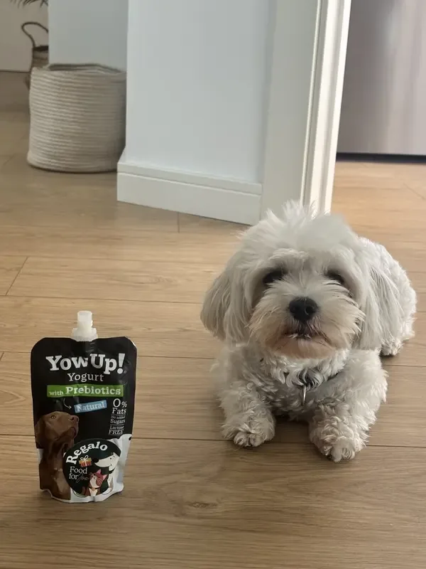 Contenido UGC para una marca de snacks para perros